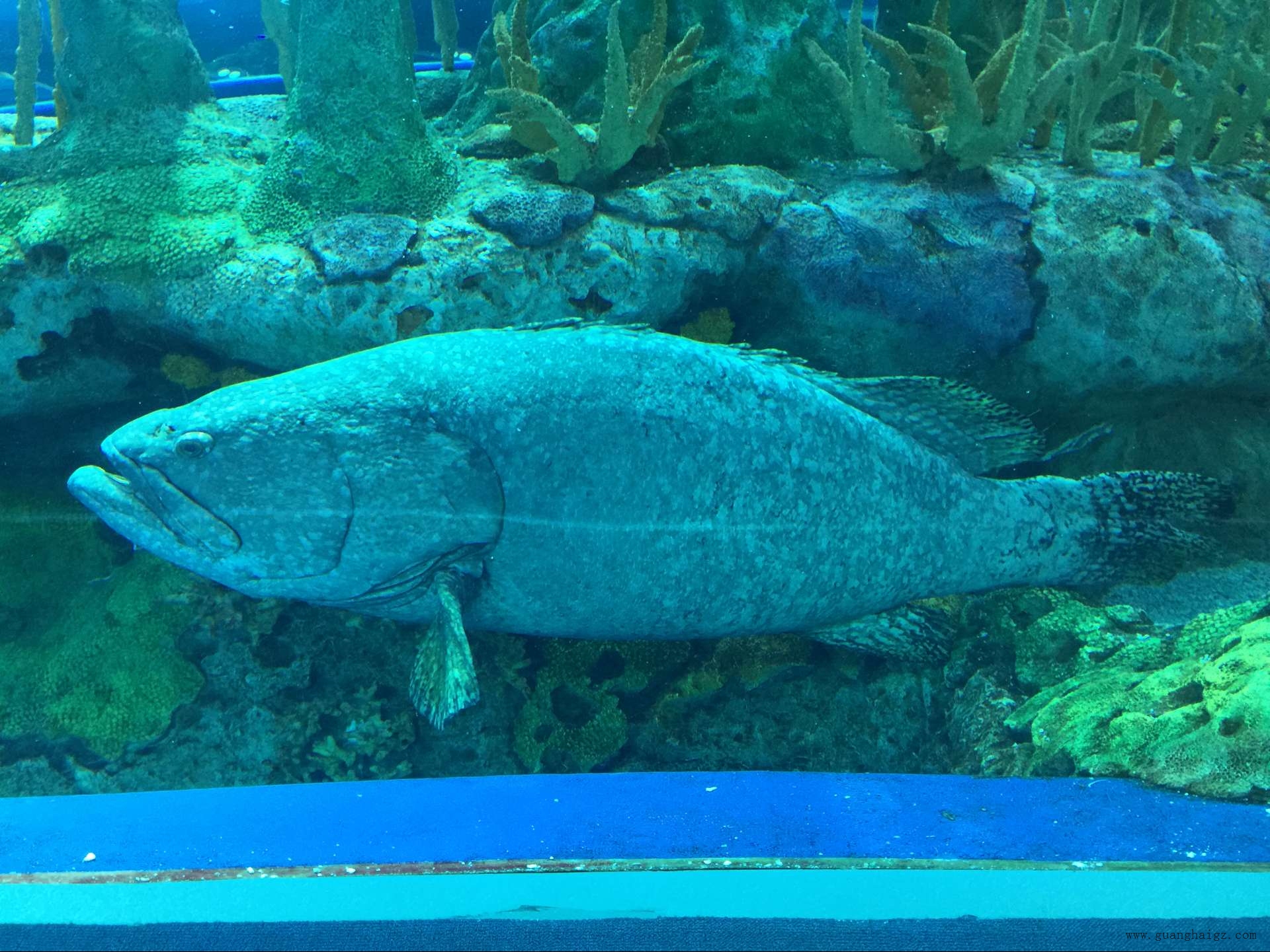 ÒײÊÌÃ-×·Çó¿µ½¡,ÄãÎÒÒ»ÆðÉú³¤