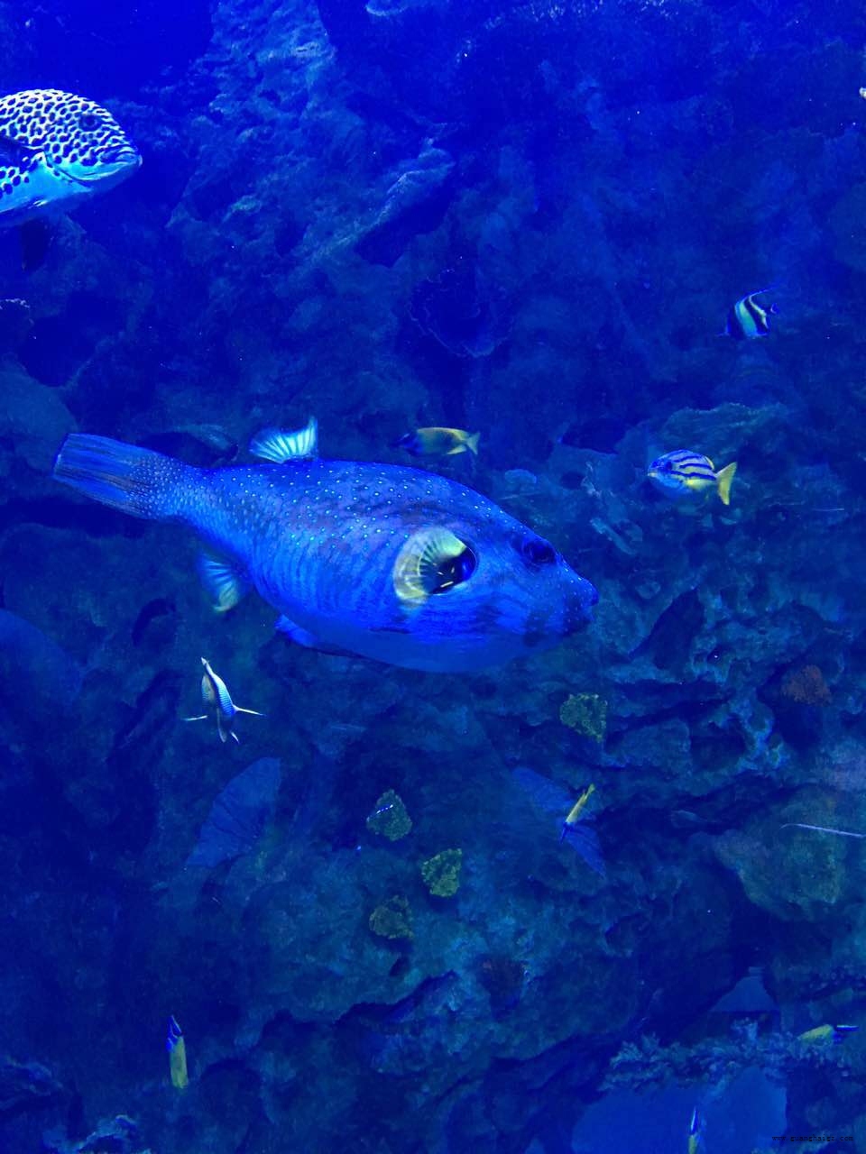 ÒײÊÌÃ-×·Çó¿µ½¡,ÄãÎÒÒ»ÆðÉú³¤