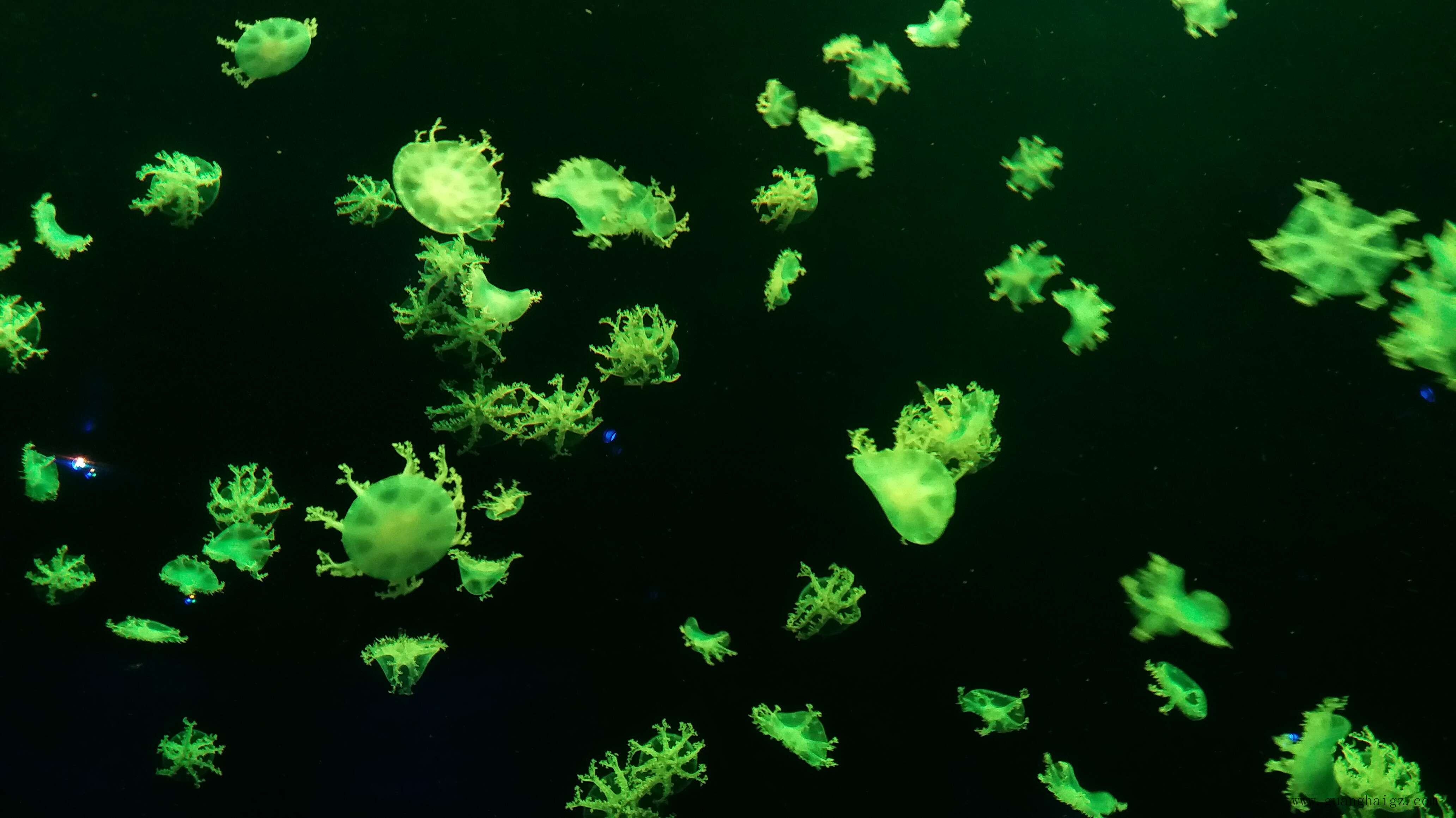 ÒײÊÌÃ-×·Çó¿µ½¡,ÄãÎÒÒ»ÆðÉú³¤