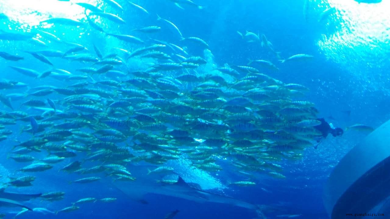 ÒײÊÌÃ-×·Çó¿µ½¡,ÄãÎÒÒ»ÆðÉú³¤