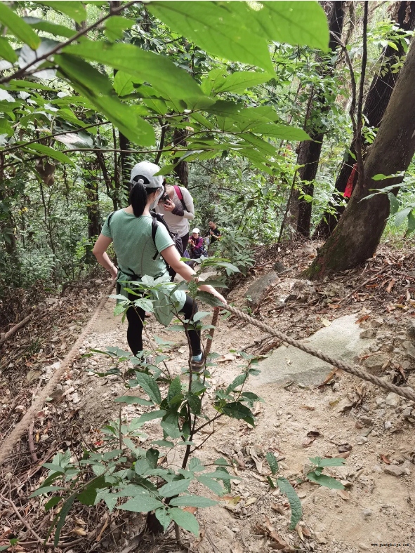 �ײ���-׷�󿵽�,����һ������